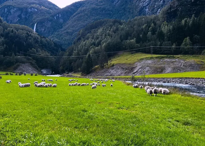 Apartamento Grandma's House *