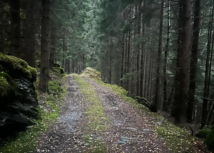 Grandma's House * Flåm